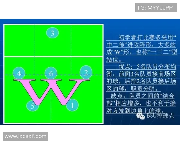 武汉排球队的节奏打法深度解析与战术创新探讨